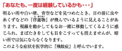 飛蚊症の症状